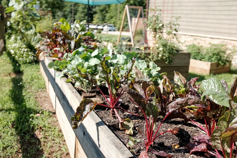 Garden design