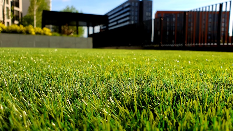 Lawn mowing